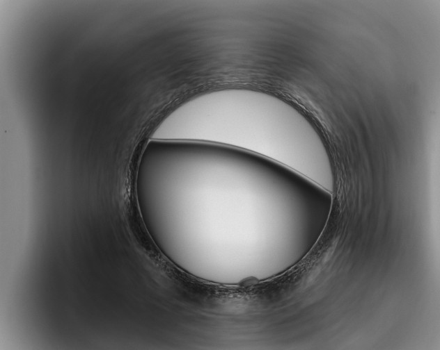 X0000096210593200801181011