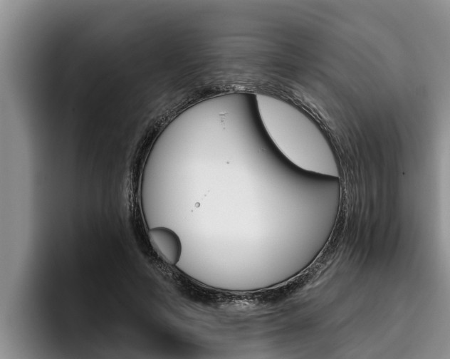 X0000096210594200801181011