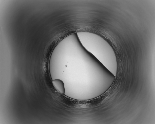 X0000096210595200801181011