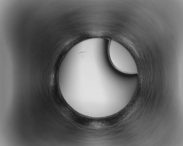 X0000096210596200801181011