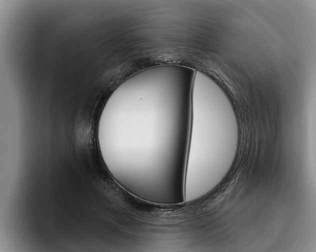 X0000096210597200801181011