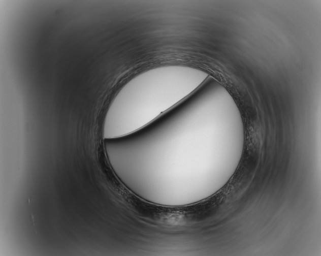 X0000096210600200801181011