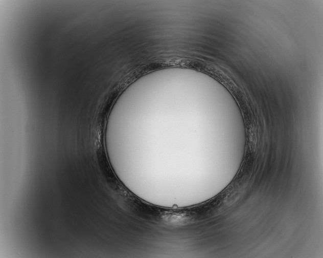 X0000096210602200801181011