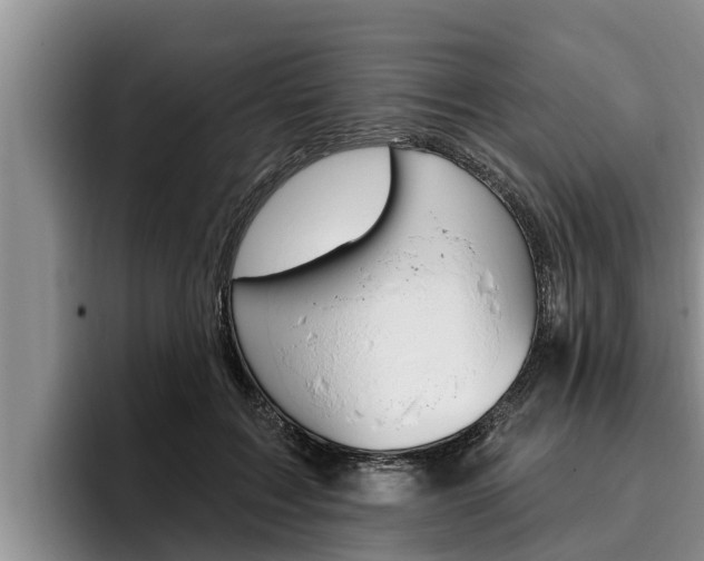 X0000096210603200801181011