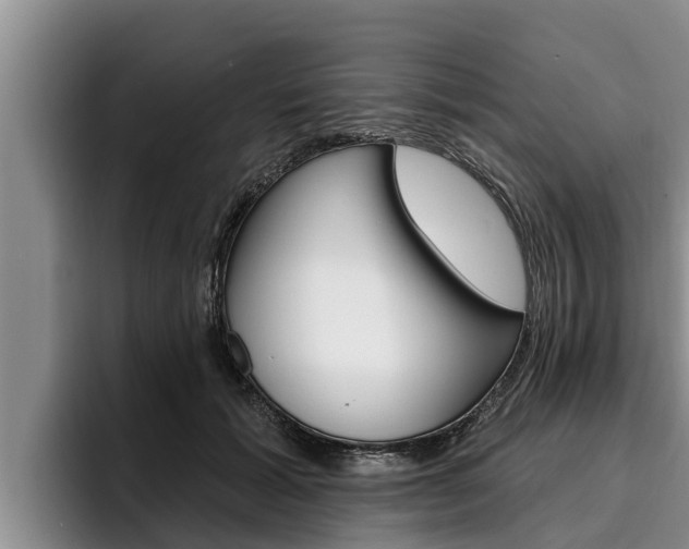 X0000096210605200801181011