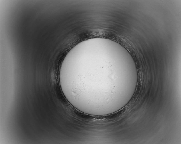 X0000096210606200801181011