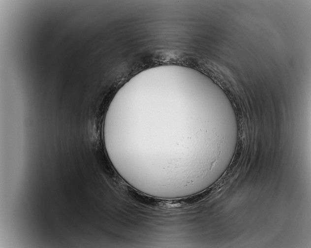 X0000096210607200801181011
