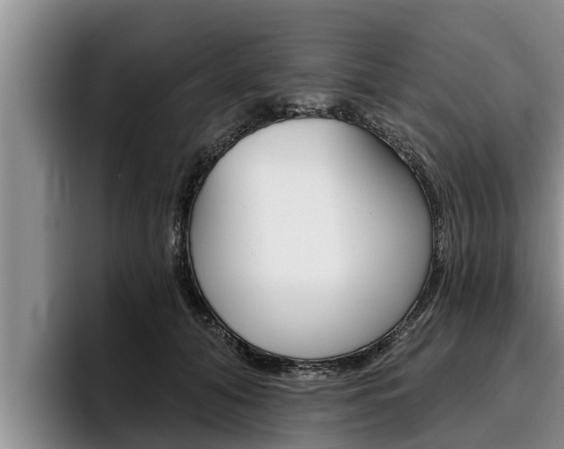 X0000096210608200801181011