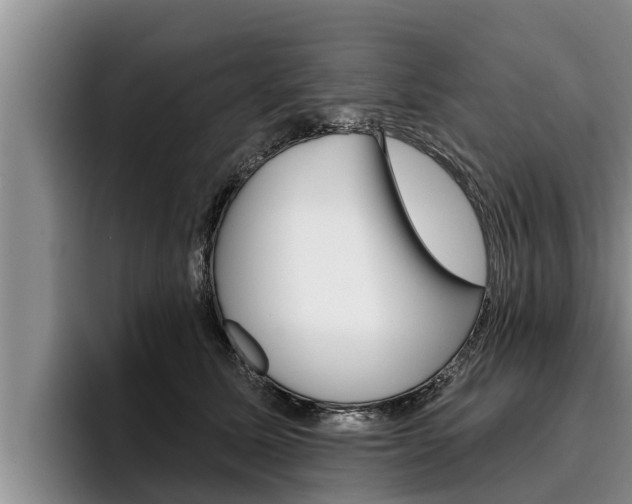 X0000096210611200801181010