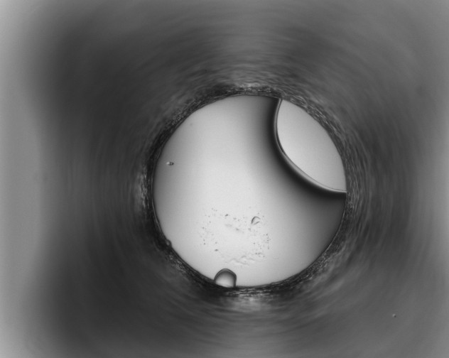 X0000096210612200801181010