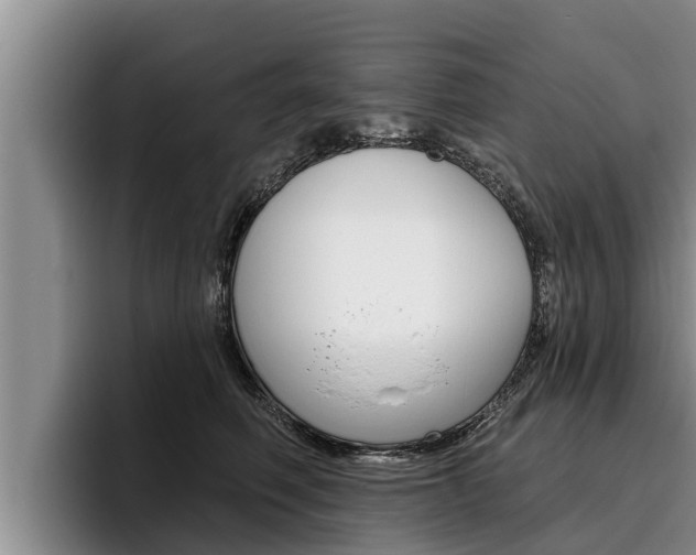 X0000096210614200801181010