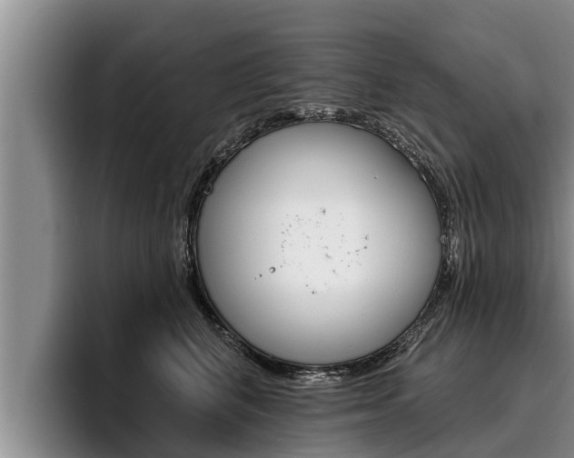 X0000096210616200801181010