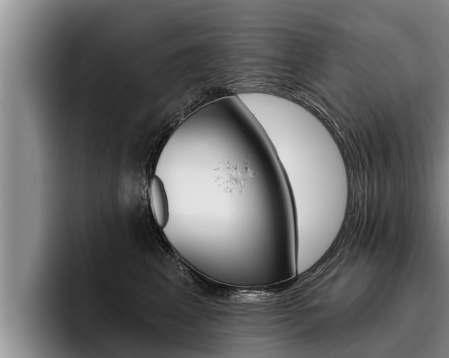 X0000096210617200801181010