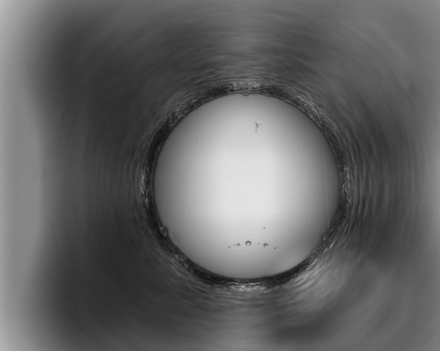 X0000096210619200801181010
