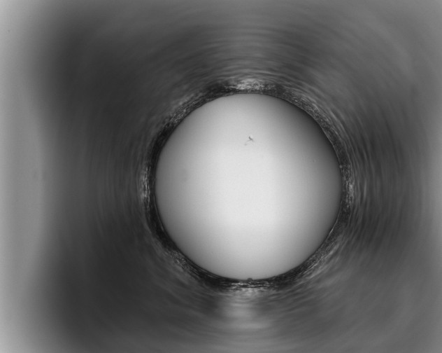 X0000096210620200801181010