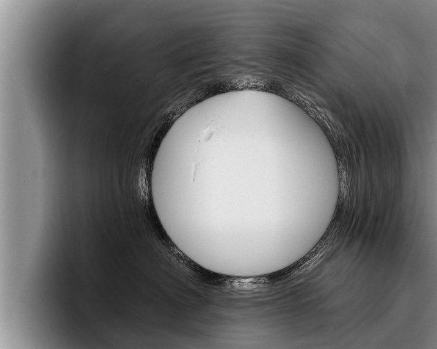X0000096210622200801181010
