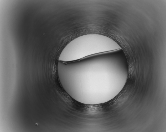 X0000096210623200801181010