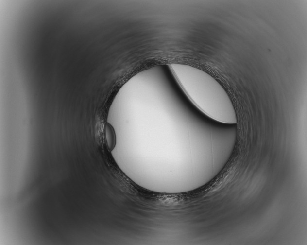 X0000096210624200801181010