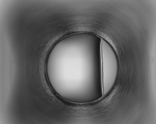 X0000096210625200801181010