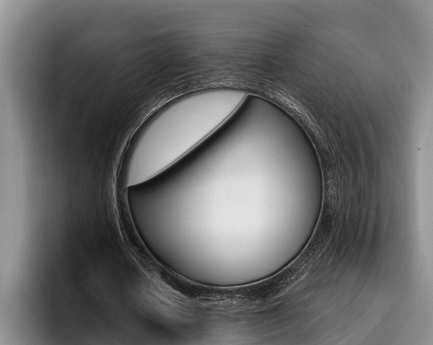 X0000096210626200801181010