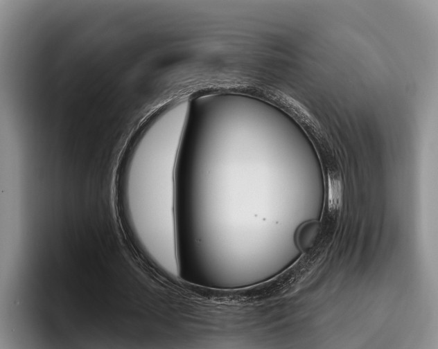 X0000096210627200801181010