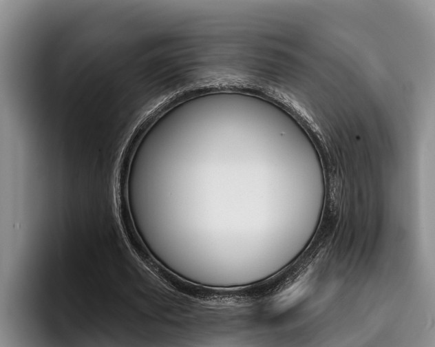 X0000096210629200801181010