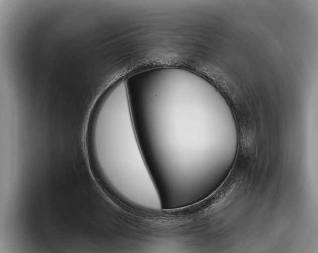X0000096210630200801181010