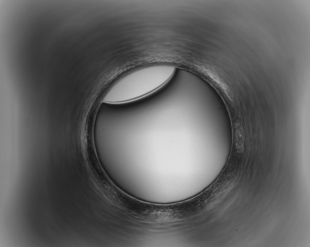 X0000096210631200801181010