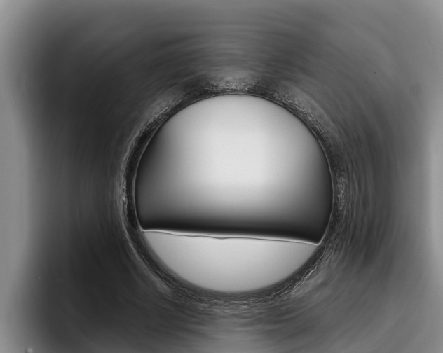 X0000096210634200801181010