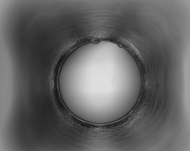X0000096210635200801181010