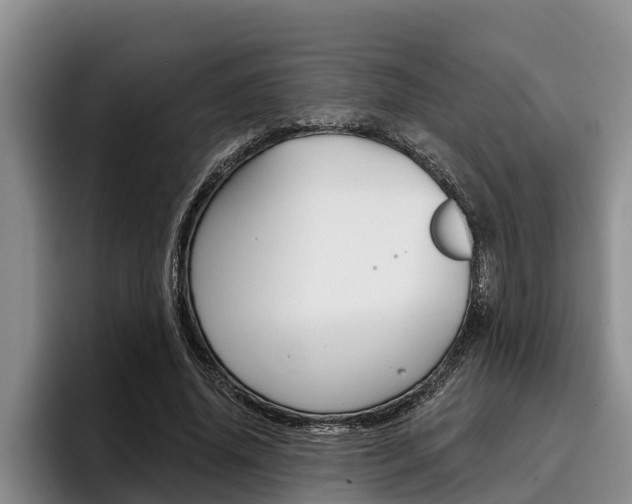 X0000096210636200801181010