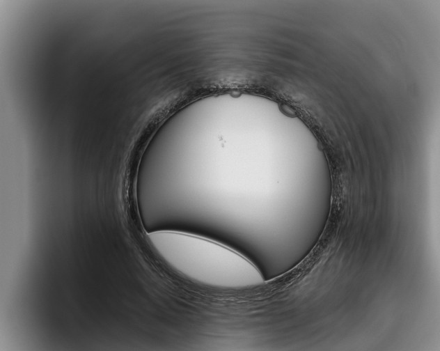 X0000096210640200801181010