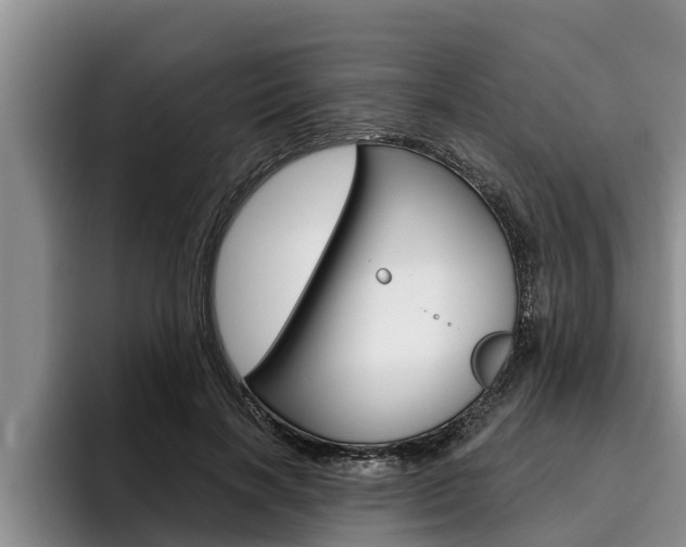 X0000096210646200801181010