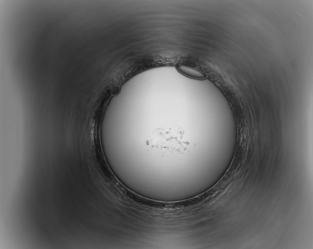 X0000096210647200801181010