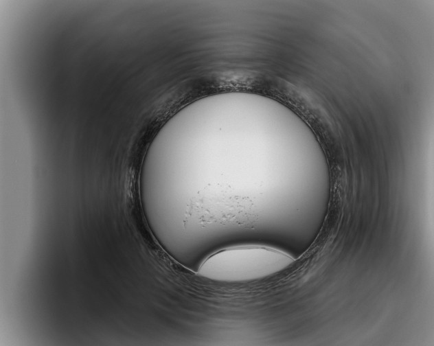 X0000096210649200801181010