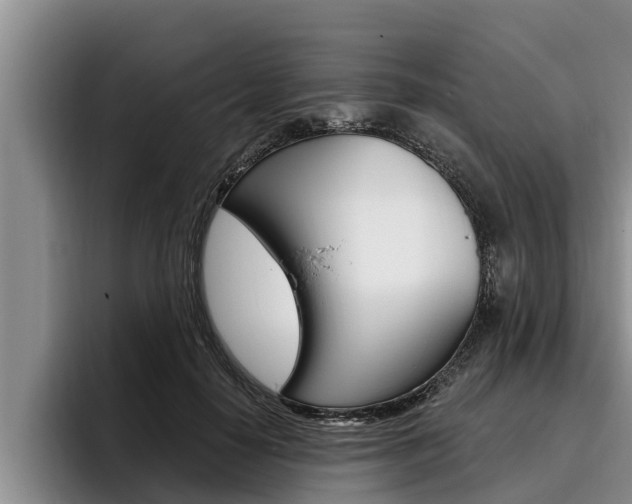 X0000096210650200801181010