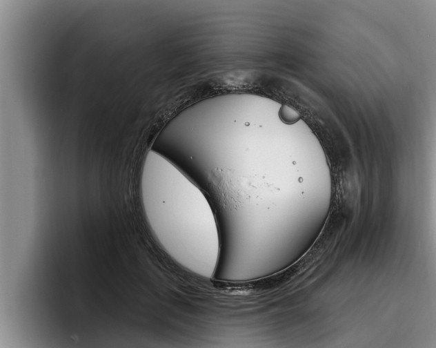 X0000096210651200801181010