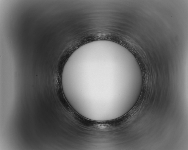 X0000096210654200801181010