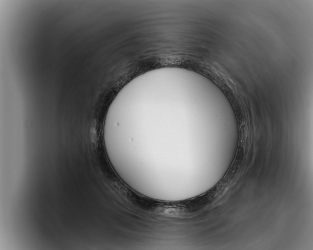 X0000096210655200801181010