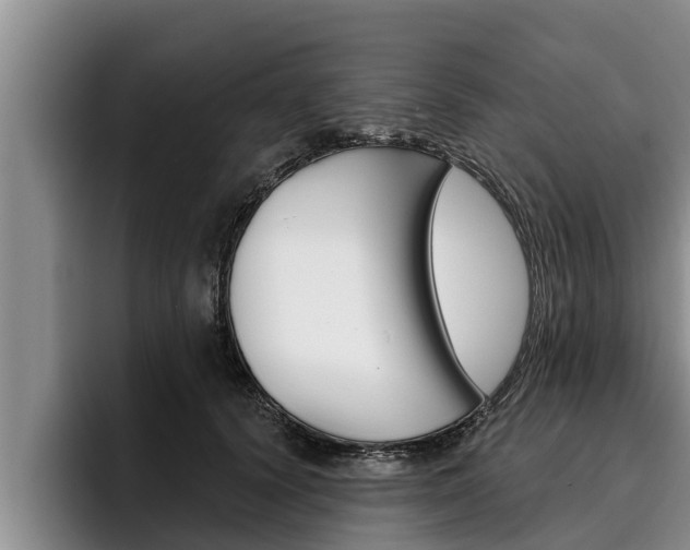 X0000096210656200801181010