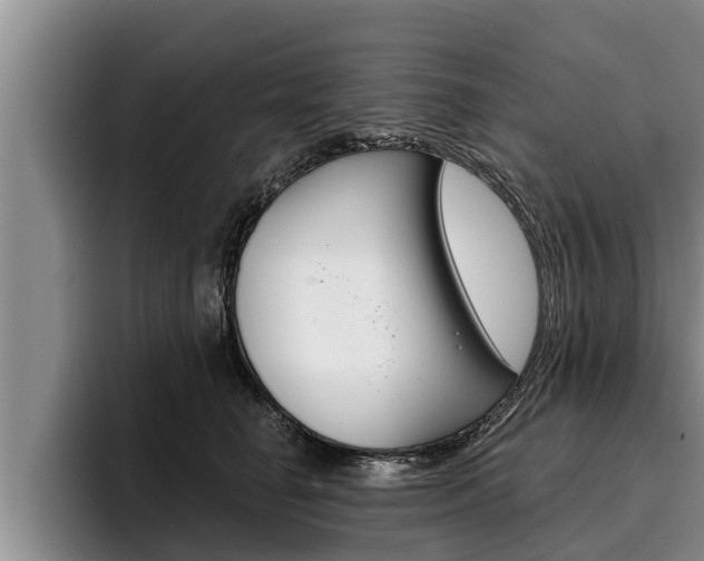 X0000096210662200801181010