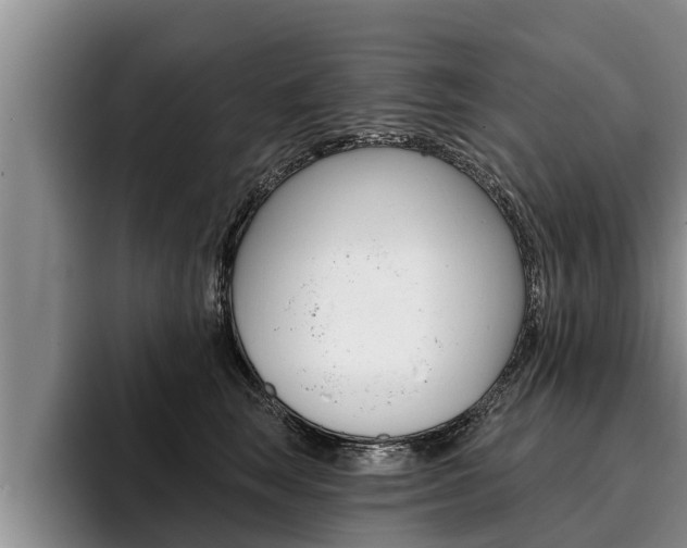 X0000096210663200801181010