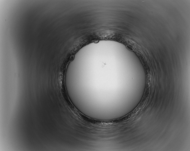X0000096210664200801181010