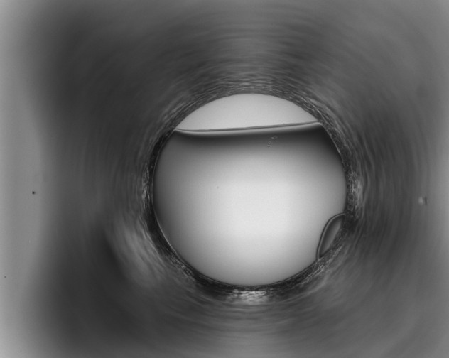 X0000096210665200801181010