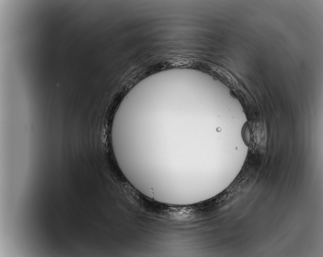 X0000096210667200801181010