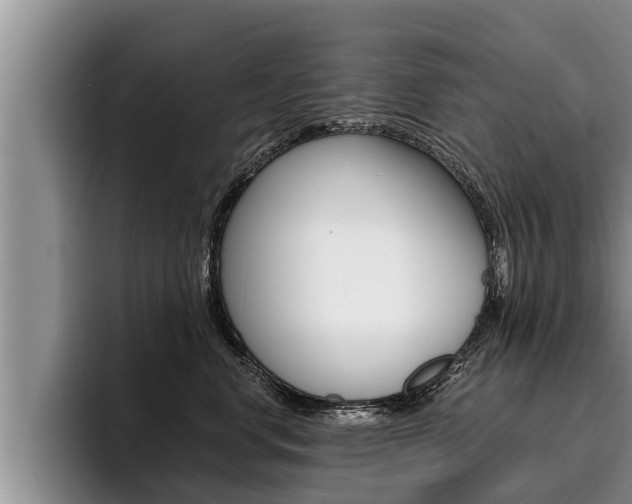 X0000096210668200801181010