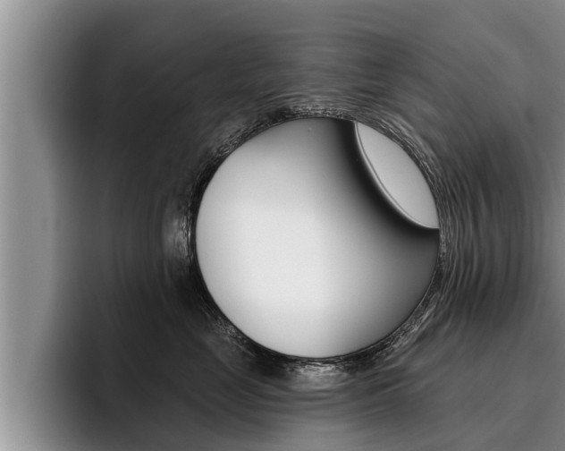 X0000096210669200801181010