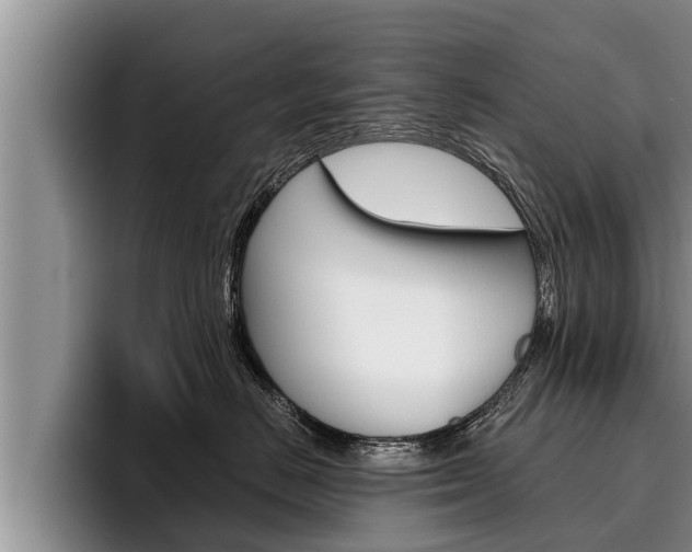 X0000096210670200801181010