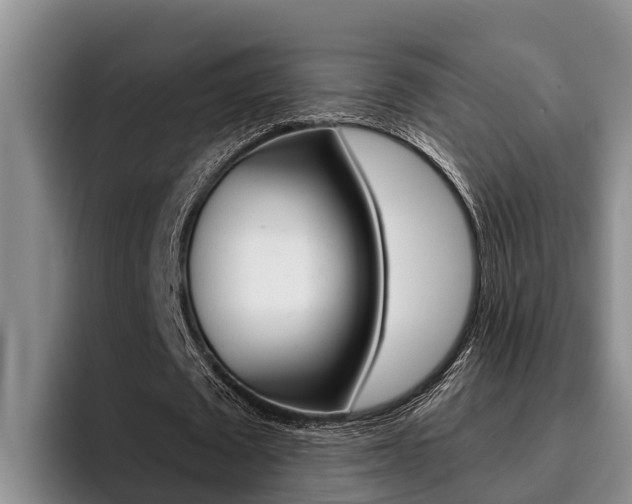 X0000096210673200801181010