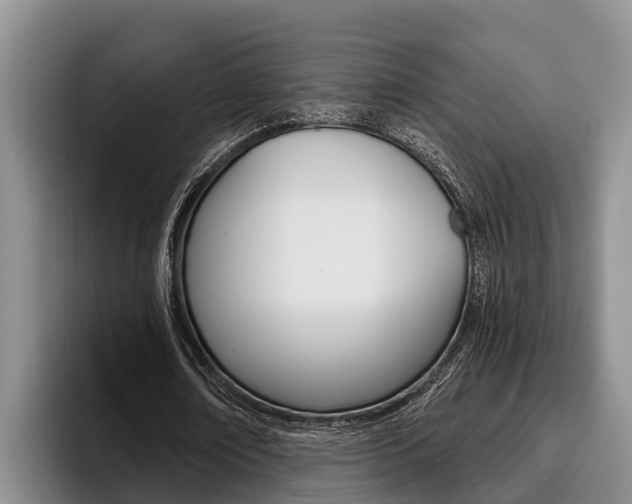 X0000096210674200801181010